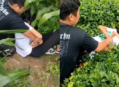 Phim sex Phim Sex Việt Nam - Lũ bạn học hiếp dâm en nữ sinh